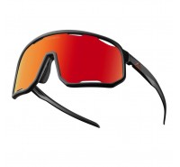 Gafas Polarizadas Rockbros Ciclismo Lentes Intercambiables