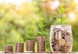 ¿Cómo enfrentar la crisis económica en tiempos del Covid 19?